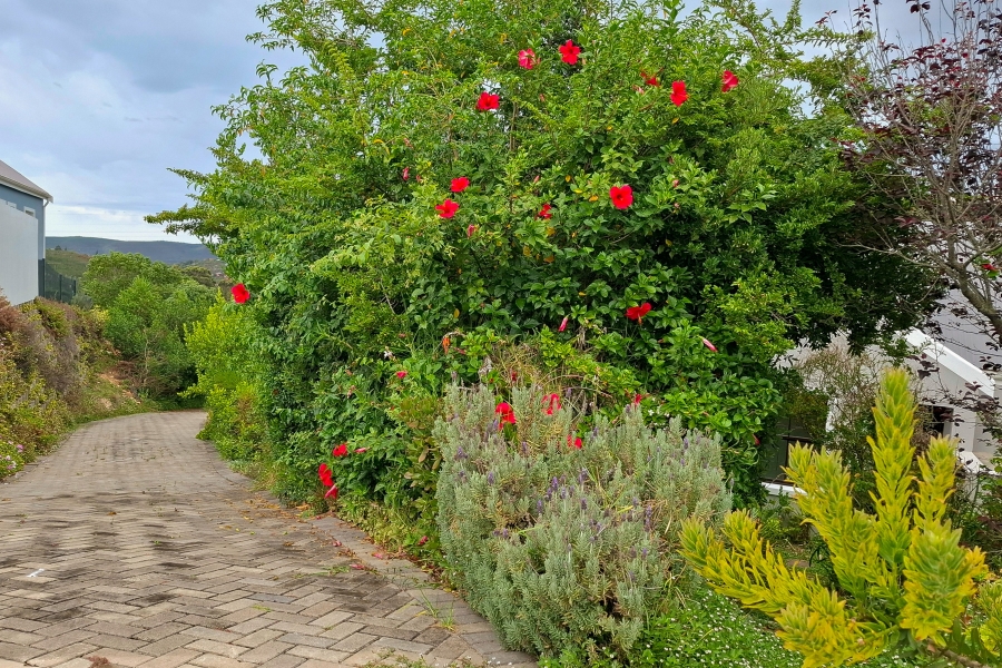 3 Bedroom Property for Sale in Green Pastures Western Cape